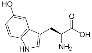 5-Hydroxytryptophan - Wikipedia