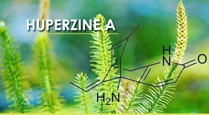 Cad iad Fo-iarsmaí Huperzine A?