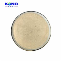 Serratiopeptidase 37312-62-2